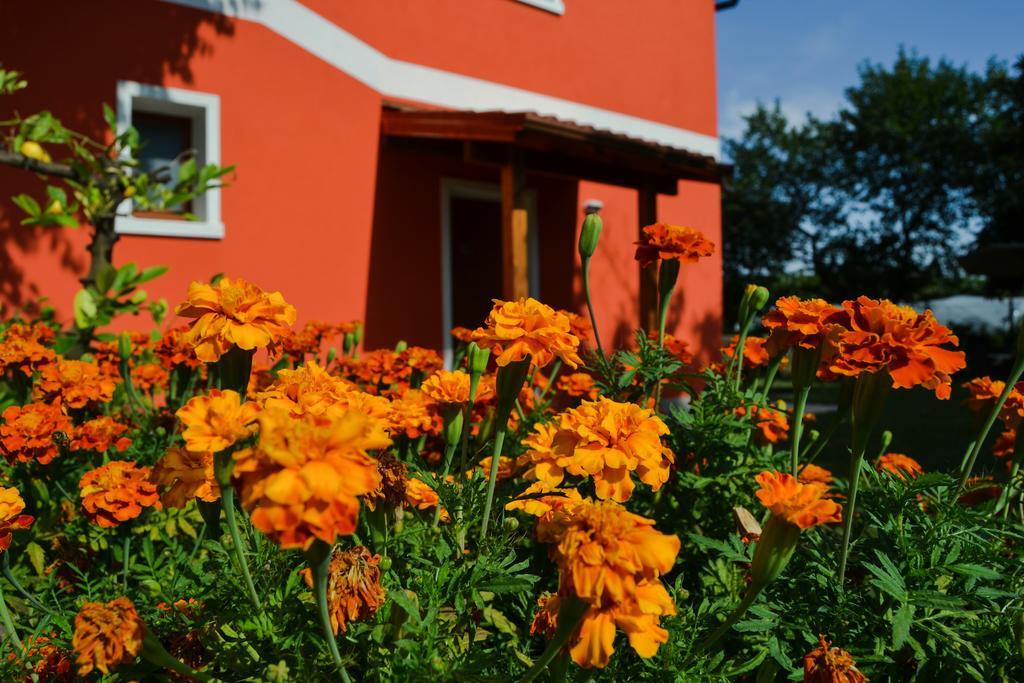 Agriturismo Ca' La Pergola 루가냐노 외부 사진