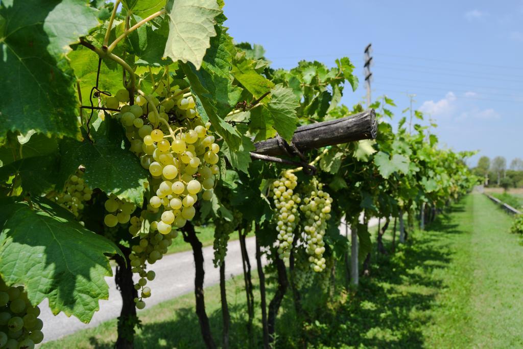 Agriturismo Ca' La Pergola 루가냐노 외부 사진
